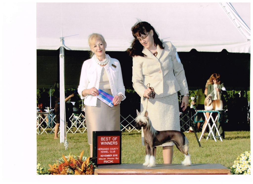 Windwater Kissing Bandit