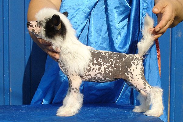 Status Imperial Resistance Is Futile