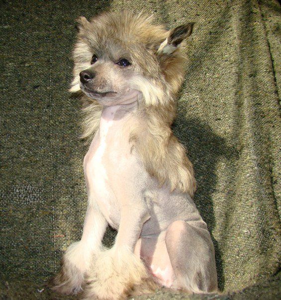 Patagonia Ranch Lucky Luke