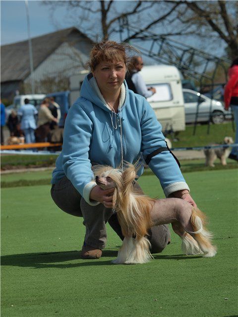 Ciron Shagrin Miranda