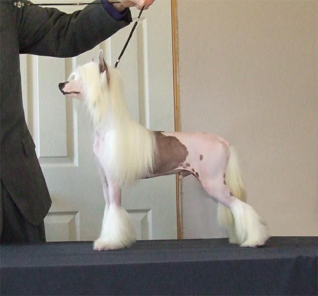 Whispering Lane Cash Money