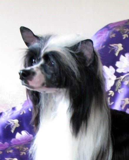 Daretobebare Fame & Fortune