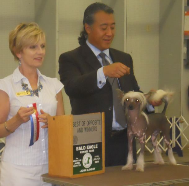 Mythic Blackbelt Fashionista