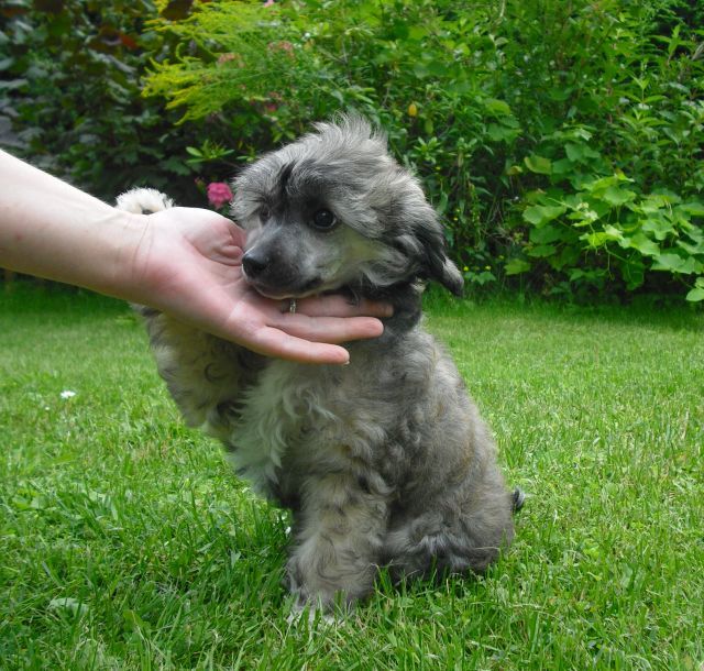 Yunao's Fayana Faiza Mitu