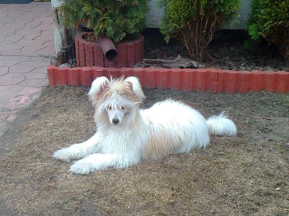 Denver Artagasamazis