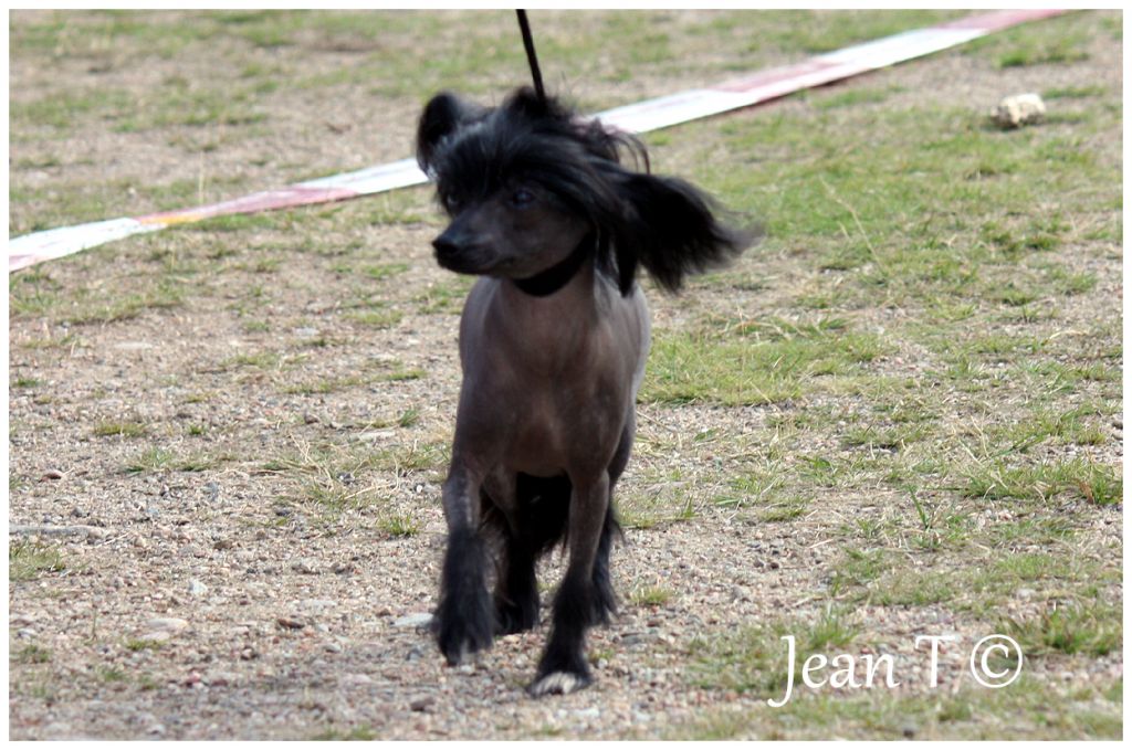 Yunao's Galiya Guna Miyu