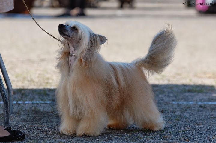 Adventurous Spirit Akwen