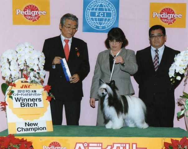 Vanitonia Poker Face