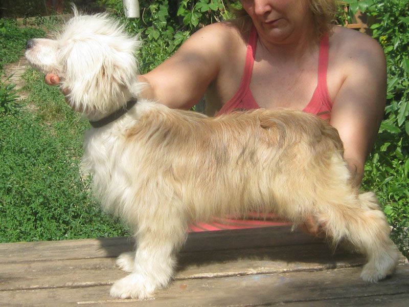 Angel O' Check Djeims Bond