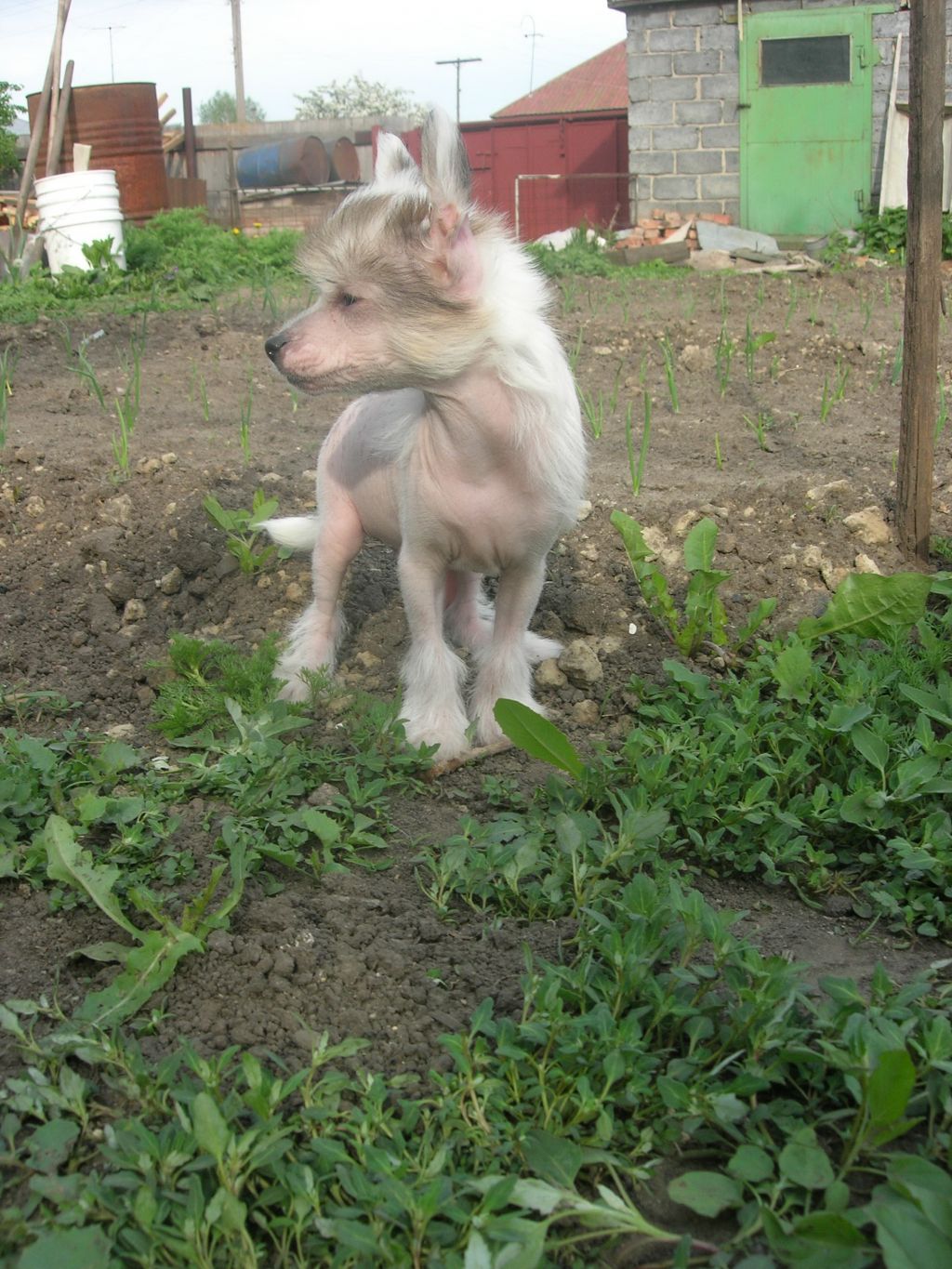 Rovanni Djekattolo Hennessy Paradis