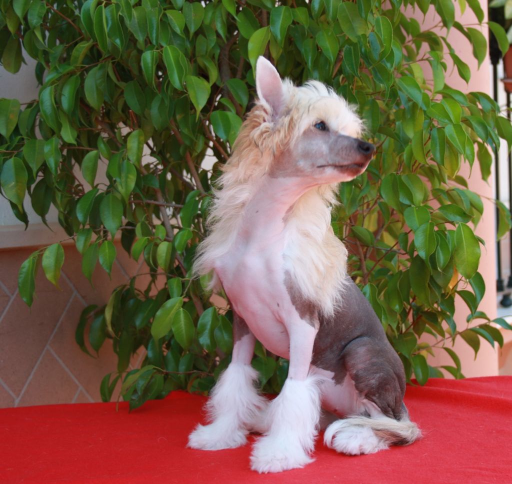 A Beautiful Glow De Sothis.