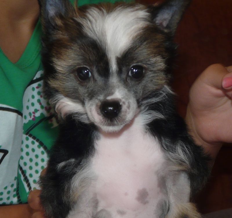 I'm the Only One Piaulau-Gou