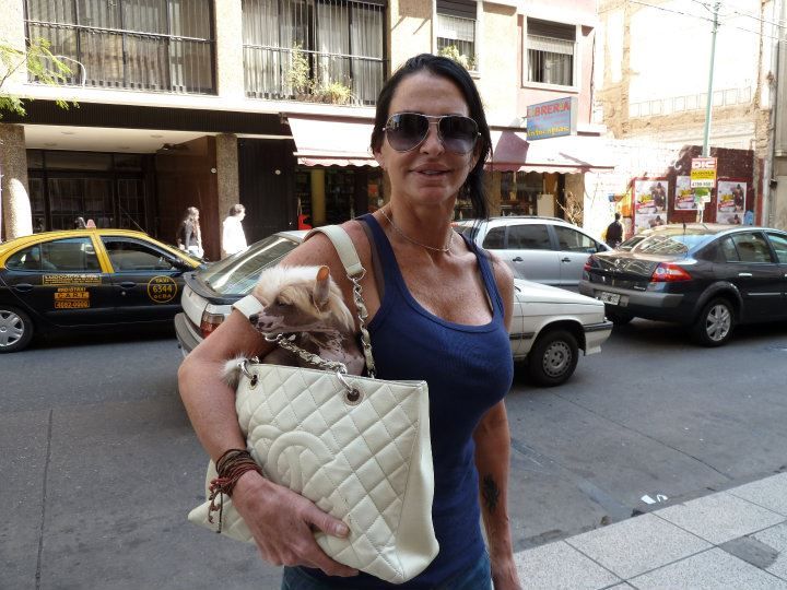 Calandria FalaZairroo