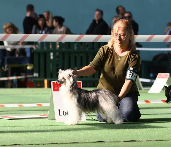 Lukrecja Light Of Shin-Ra