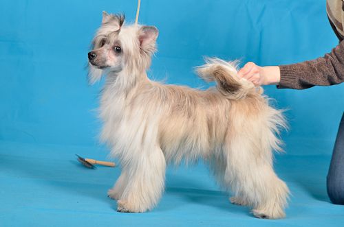 Rouber Balt  Sweet Candy