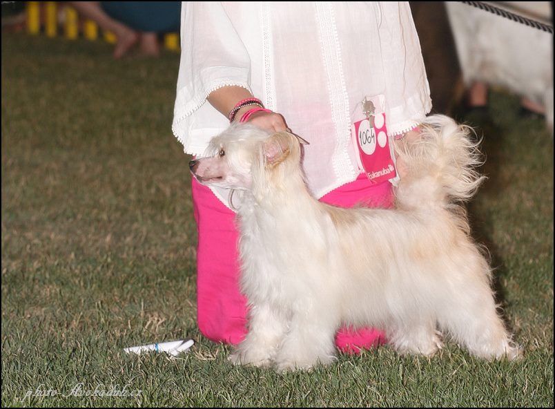 Zodellin Can The Can