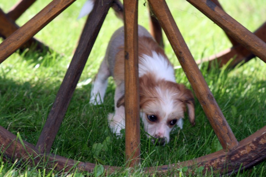 Cool Crowd's Makin Enemies Is Good