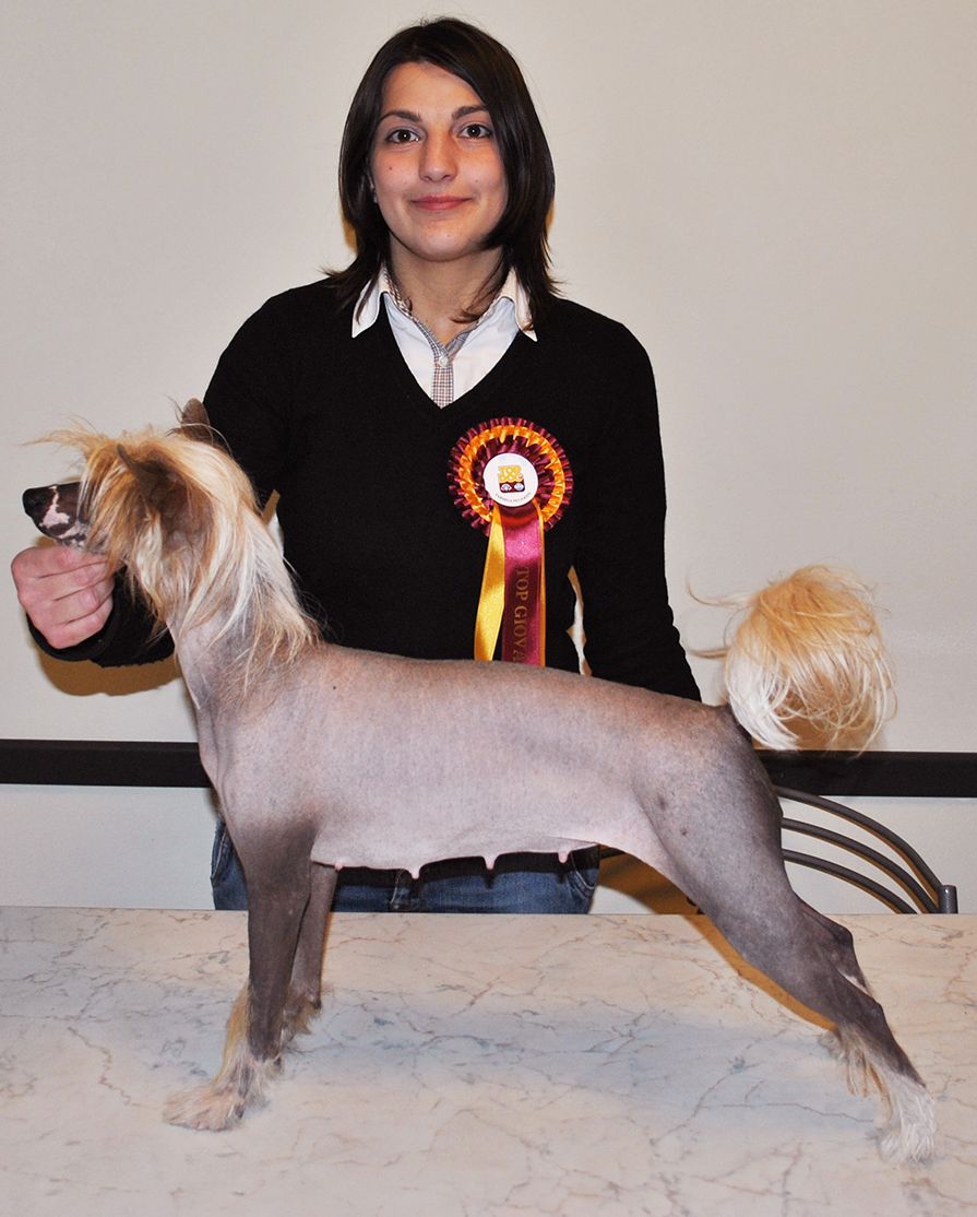 Megi Cleopatra Regina d'Egitto