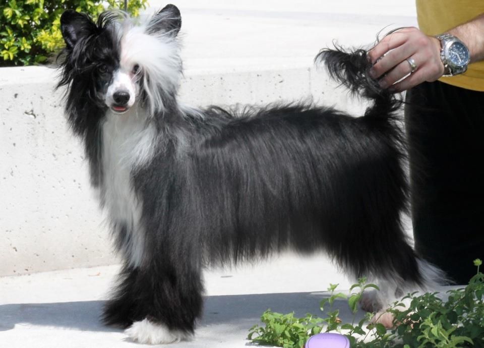 Stillmeadow Guilt By Association