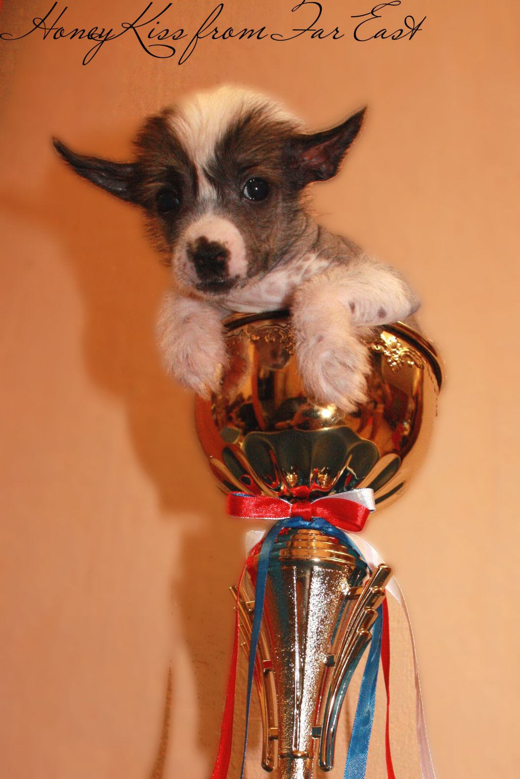 Honey Kiss from Far East 