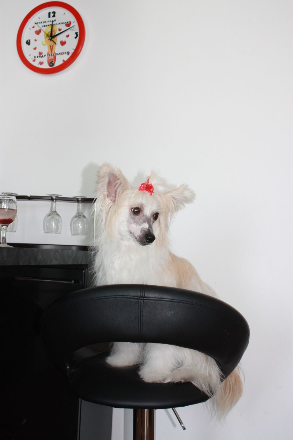 Hoshi from Sunrise Island