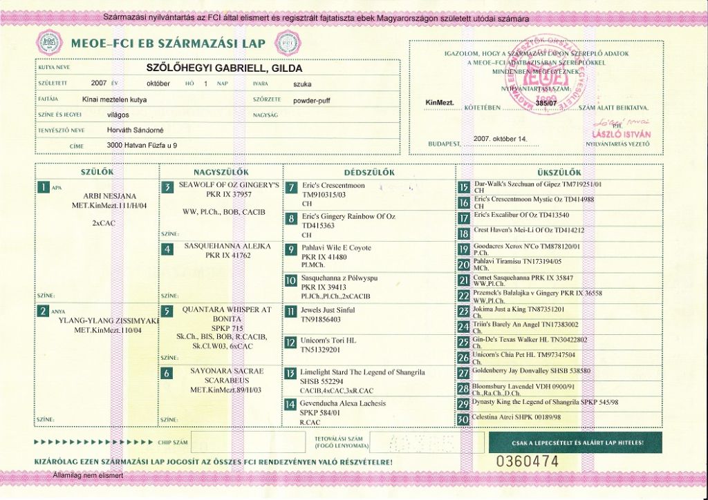 Szolohegyi Gabriell Gilda