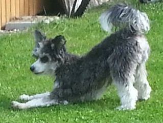 Drömtorpet's William Kidd Buccaneer