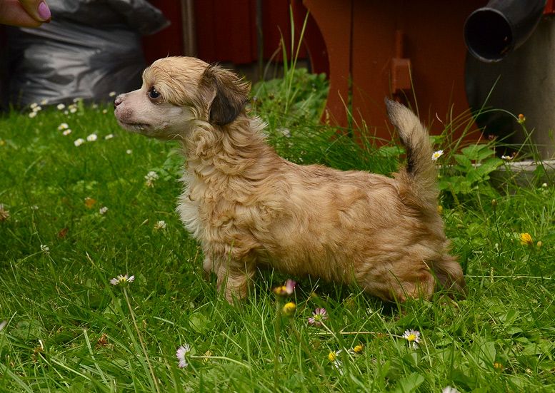 Cool Crowd's Gemma Teller Morrow