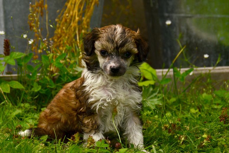 Cool Crowd's Trinity Ashby