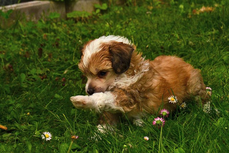 Cool Crowd's Jackson Teller