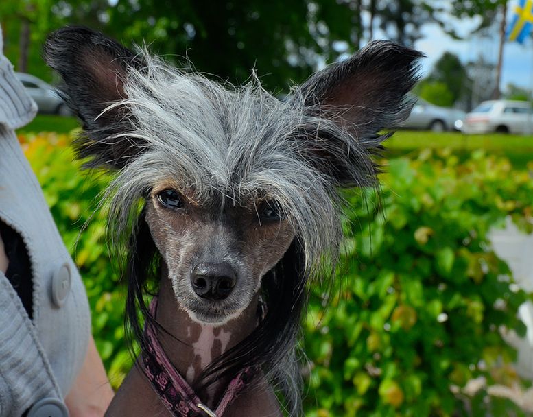 Cool Crowd's Serena Wan Der Woodsen