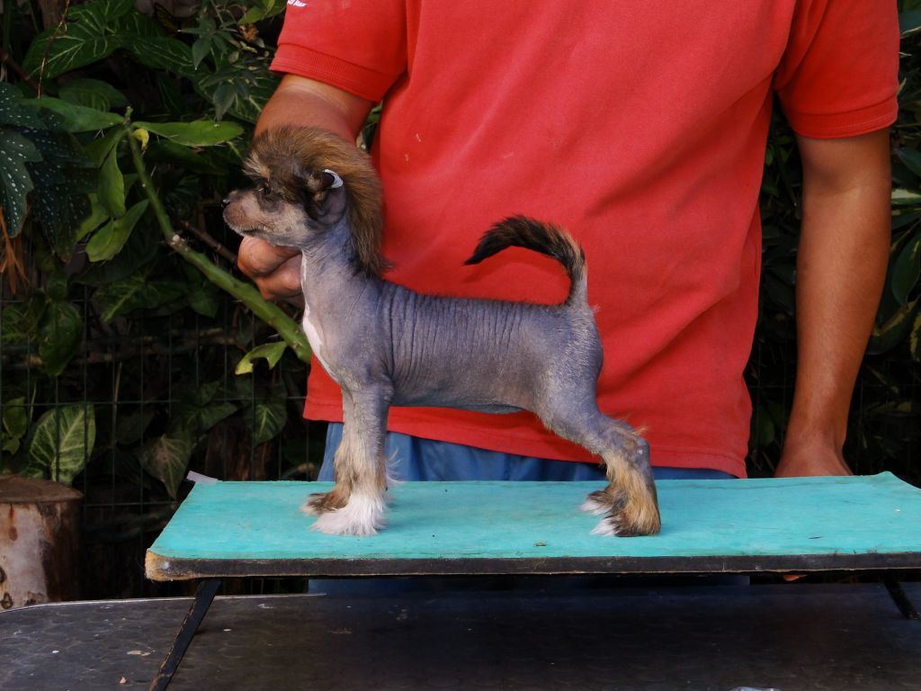 Ma Muse Milou Falazairroo