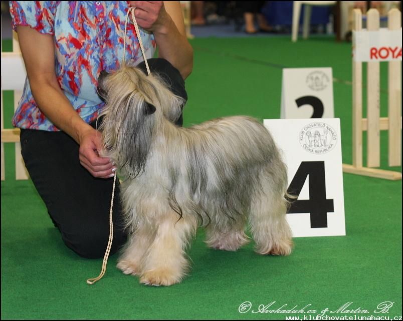 Elizabeth z Pulnocního dvora