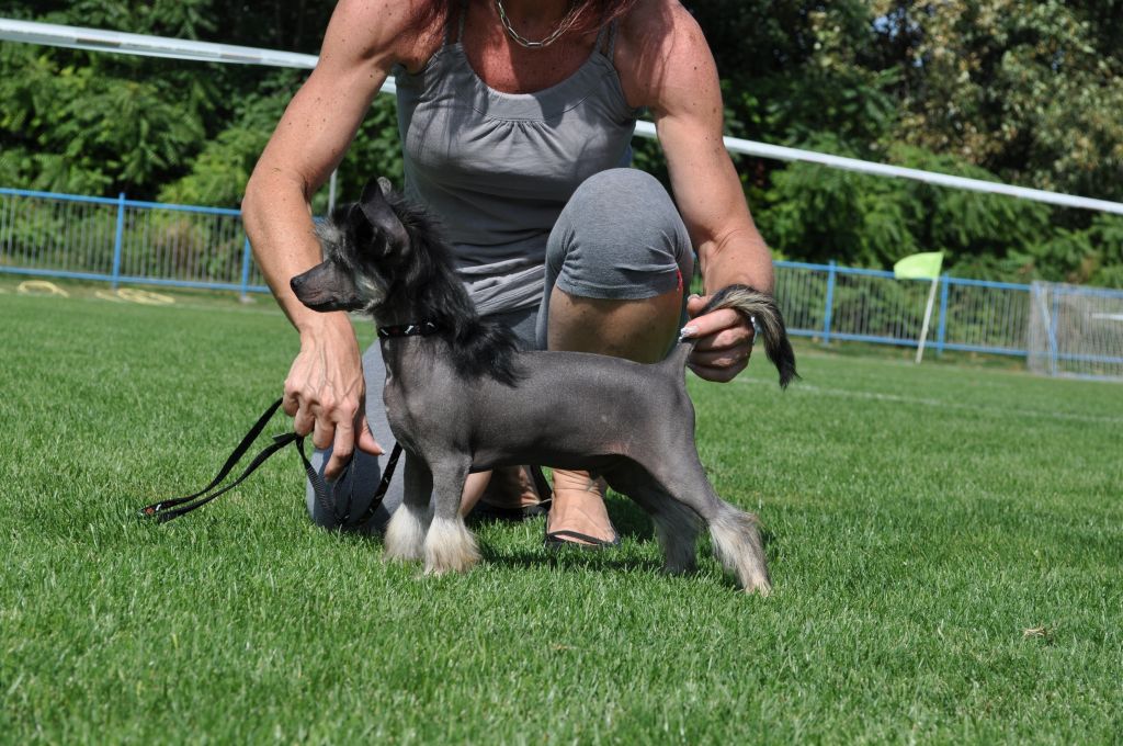 Bubbling Spirit Armani