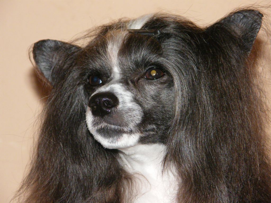 Eastern Winner Of Pastime Paradise