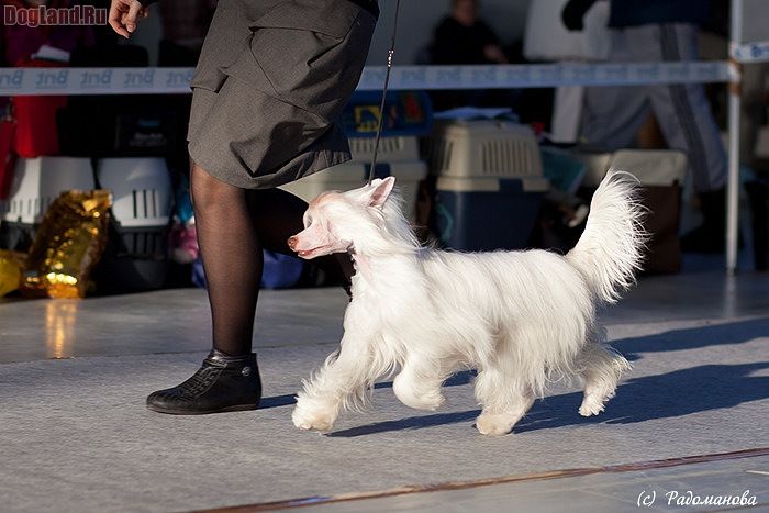 Zholesk Unforgettable