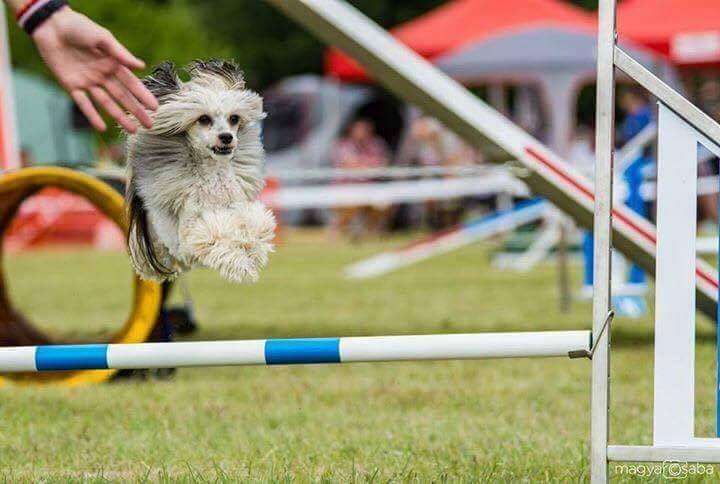 Figaro SUN Di Rabozi