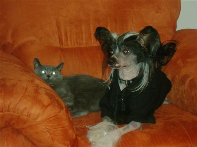 Be Happy Santa la Vida