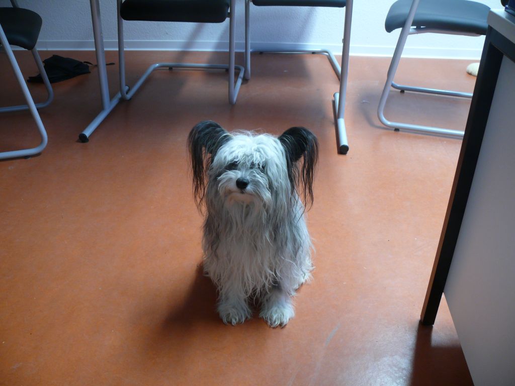 Atos Avatar Marischnacki