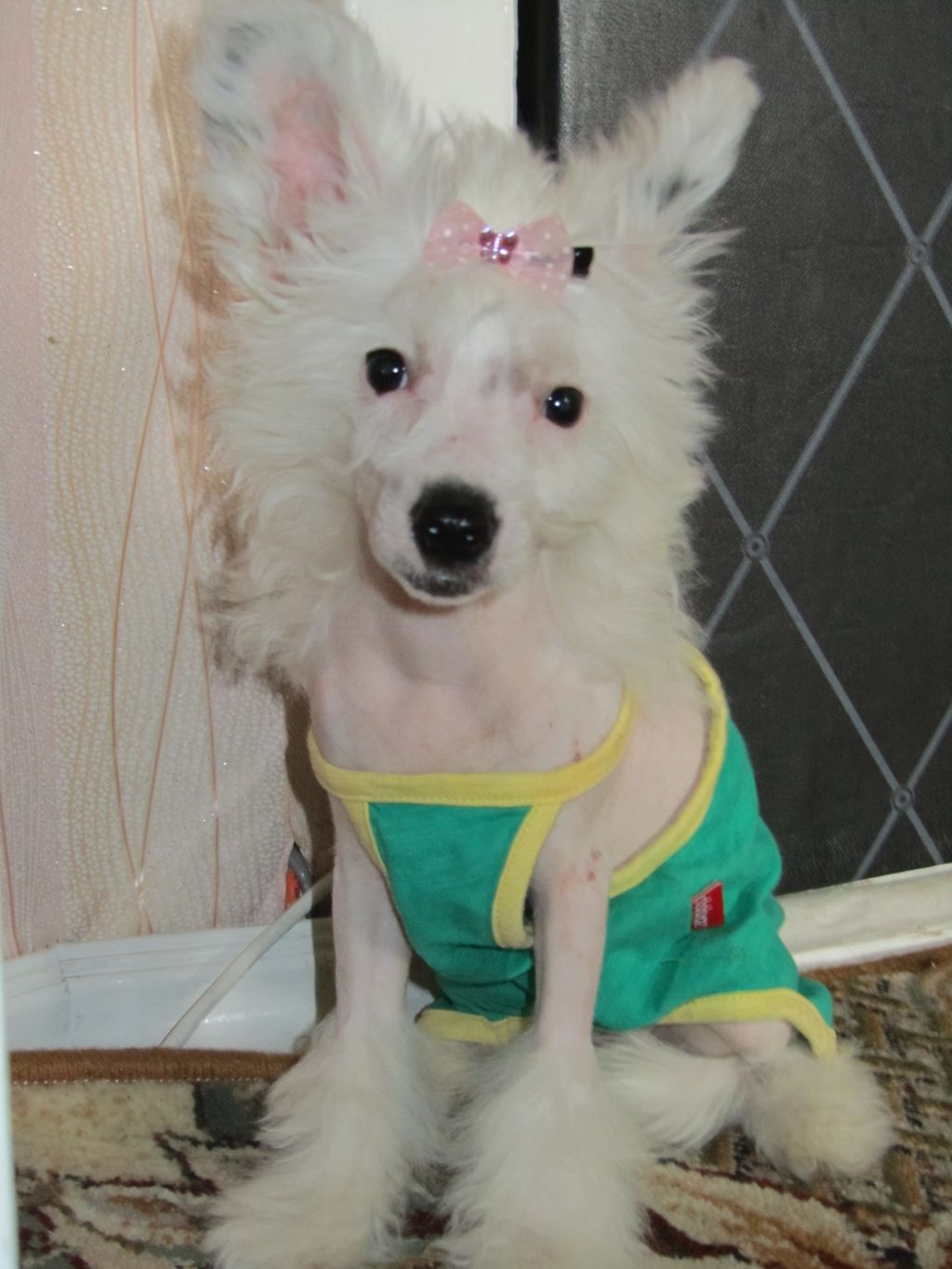 Orero Lovely Cianna Breeze