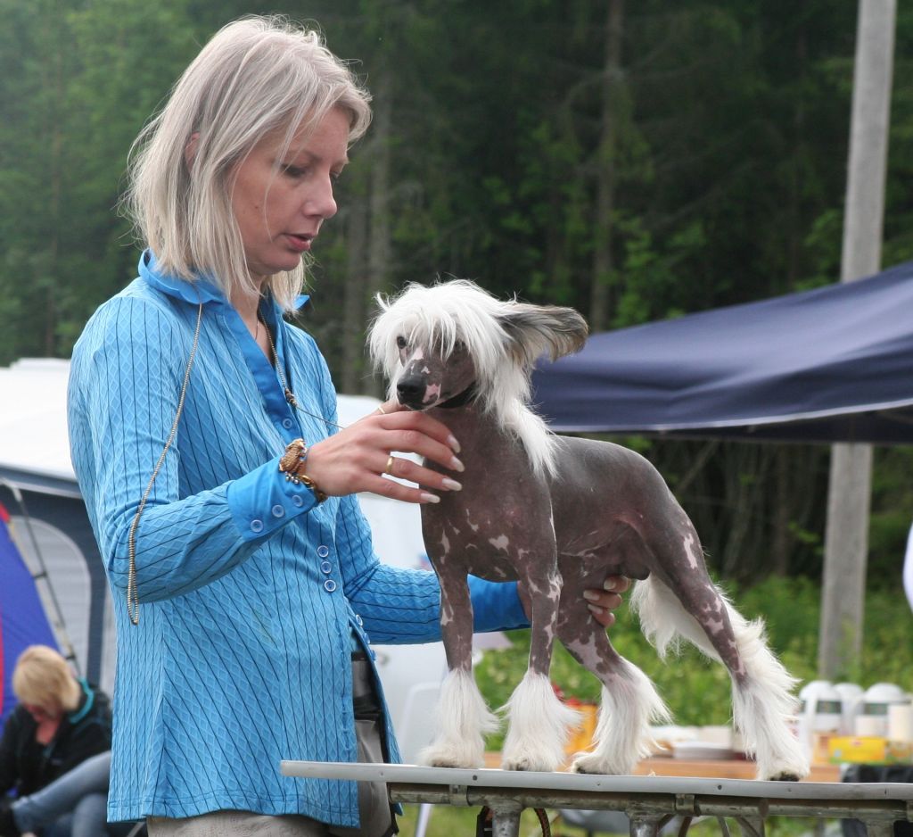 Reject's StormyThirteen