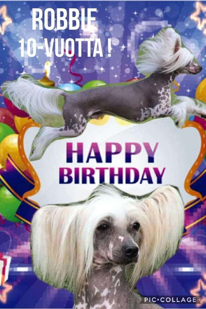 Give me Your Sunshine  Princes de la Roses