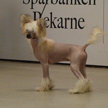 M-Ligans Freak On A Leach