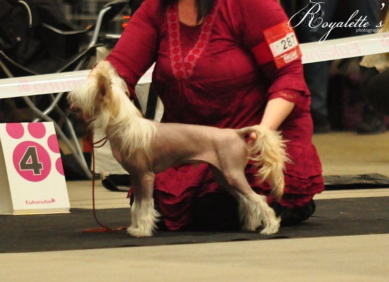 M-Ligans Faith Brings Me Life