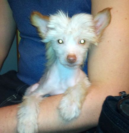 M-Ligans Daughter Of The Jungle