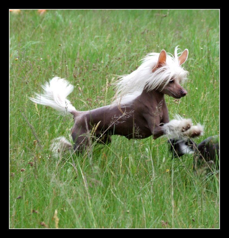 Treasure Guardians Infinity