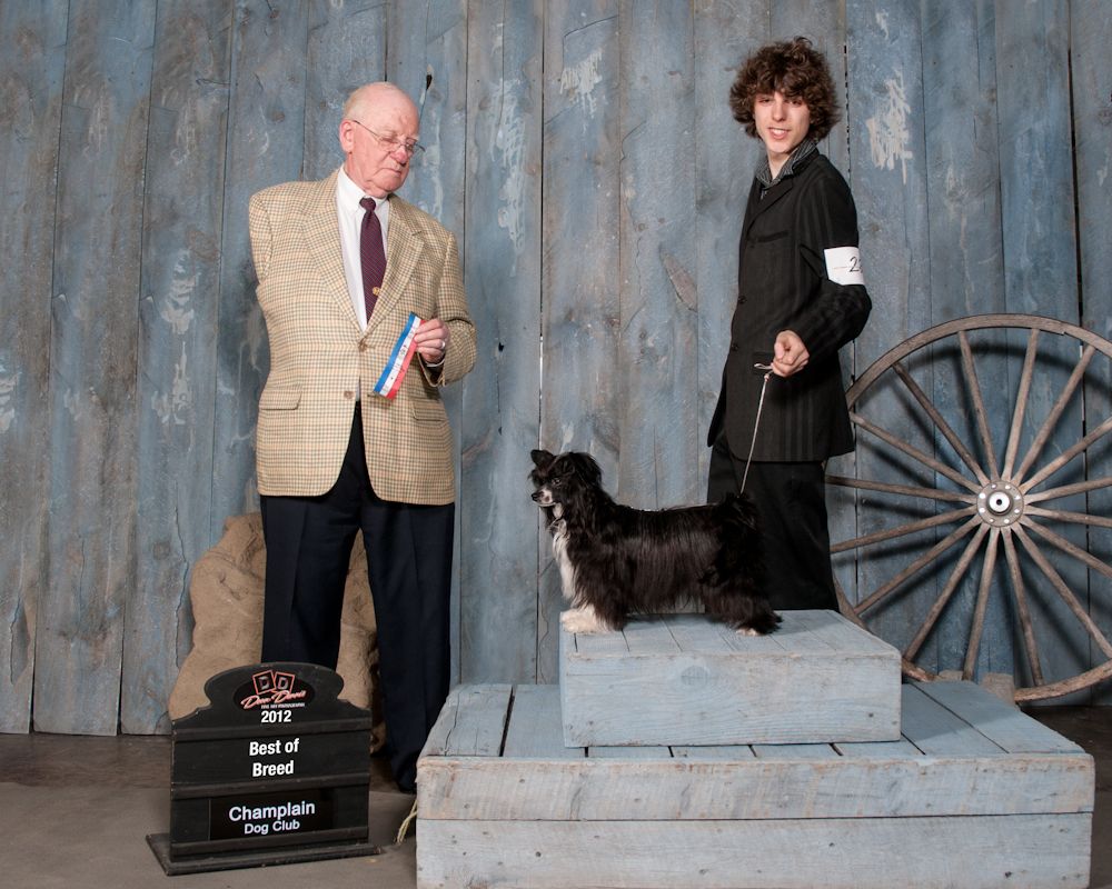 Nu Poil's Godzilla Dai Kaijû