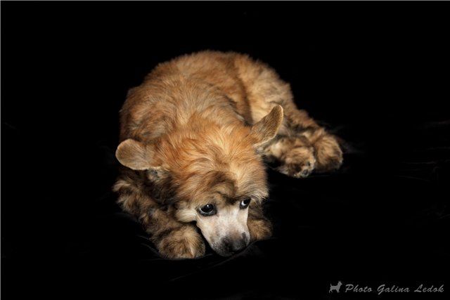 Gabriela Sabatini Top Fiera