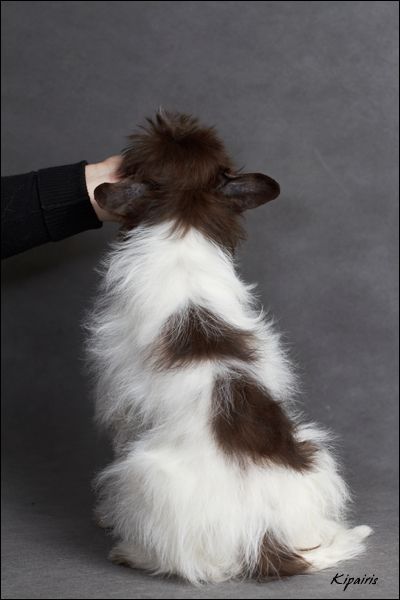 Rus Foreva Arm Candy