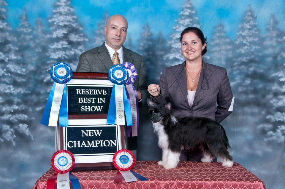 Altacrest's Friday's Where It's At